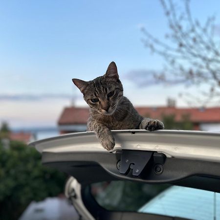 Pri Piratski Macki - At The Pirate Cat - Dal Gatto Pirata โคเปร์ ภายนอก รูปภาพ